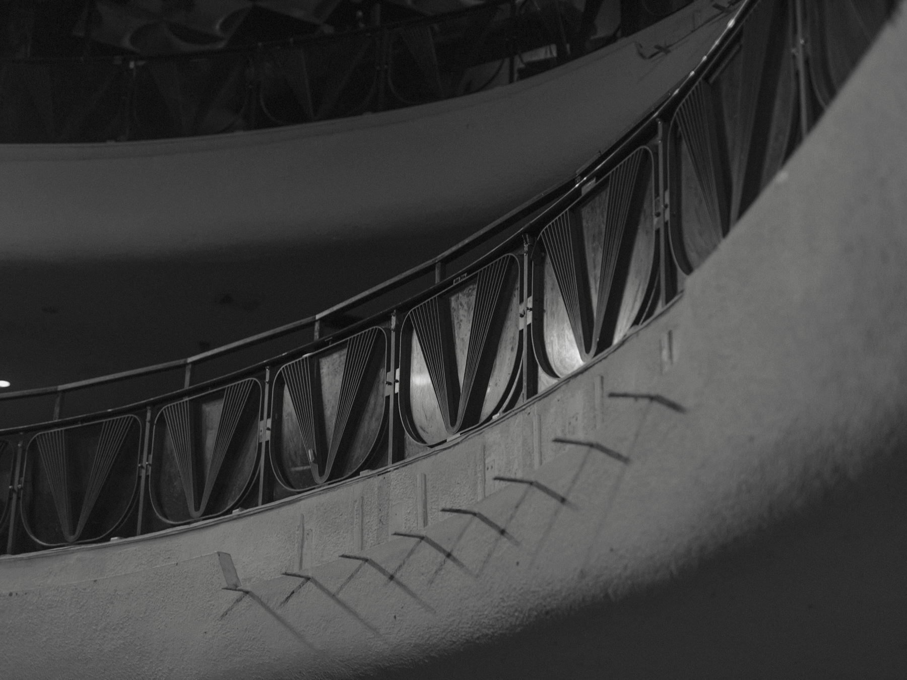 Collection : 2024 SS